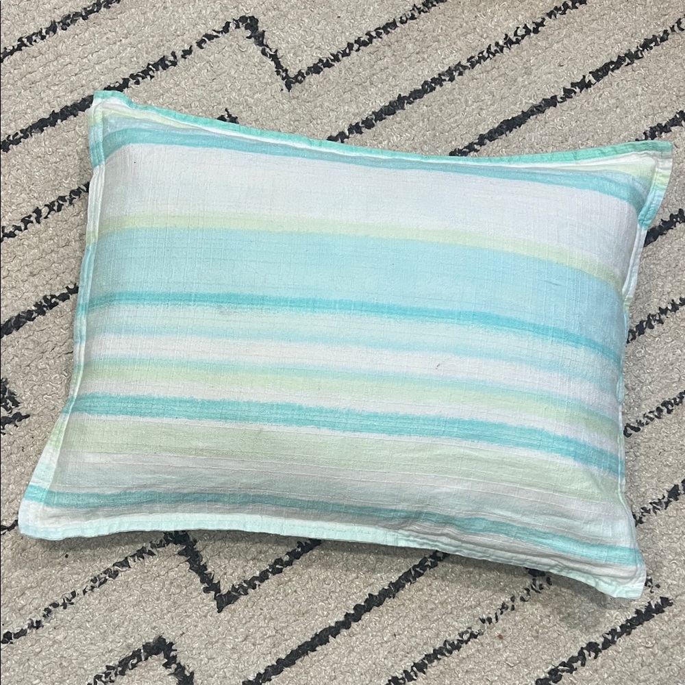 Liz Claiborne Throw Pillow